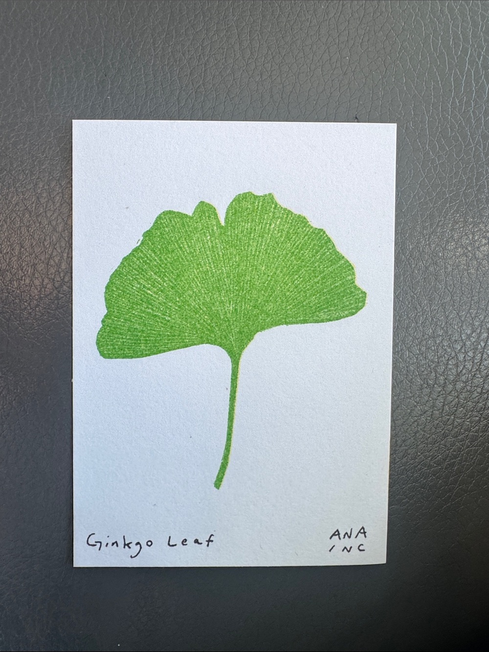Inciardi - Ginkgo Leaf - Mini Print